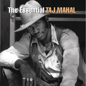 The essential Taj Mahal